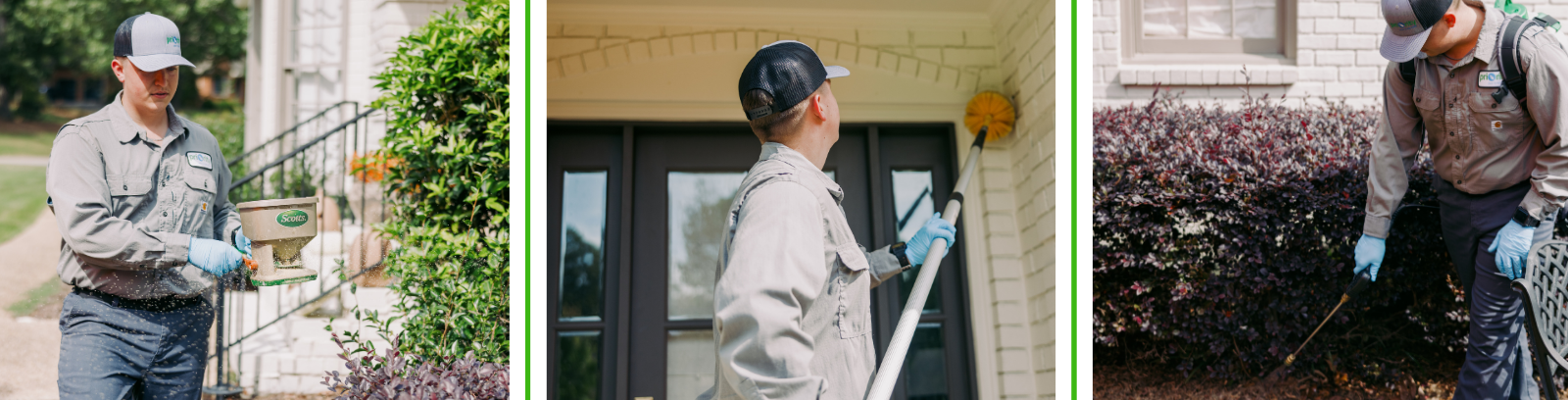 Pest Control Services