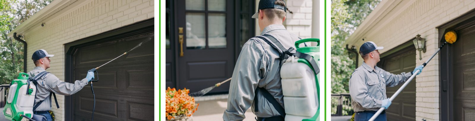 Termite Control Services